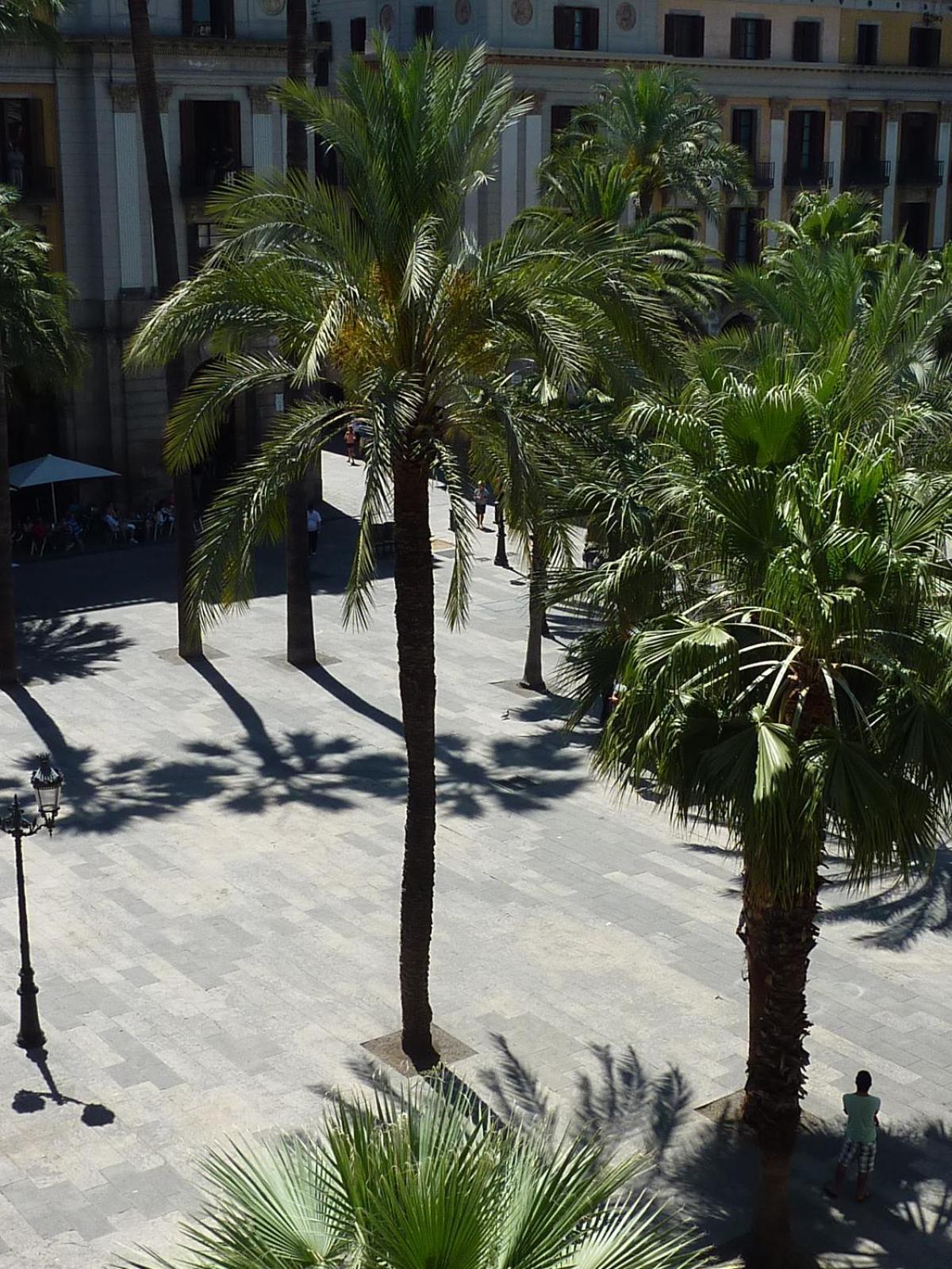 Roma Reial Ξενοδοχείο Βαρκελώνη Εξωτερικό φωτογραφία